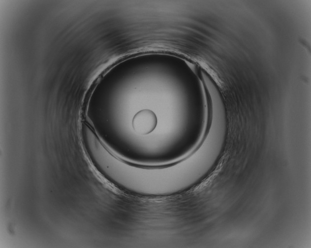 X0000097871134200803281155