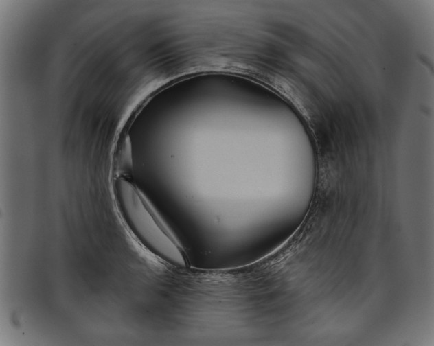 X0000097871136200803281155