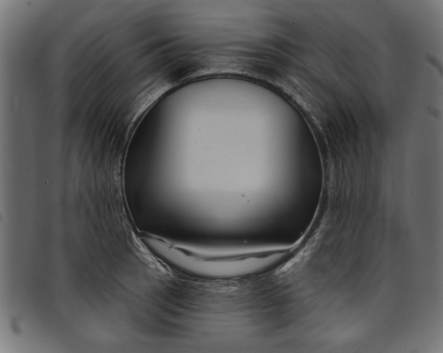 X0000097871137200803281155