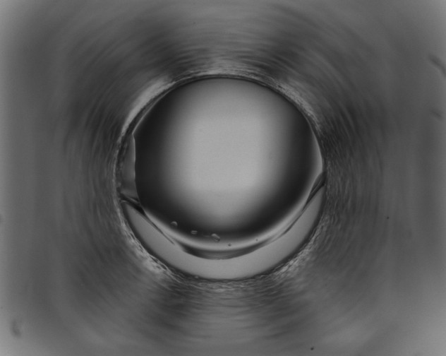 X0000097871138200803281155