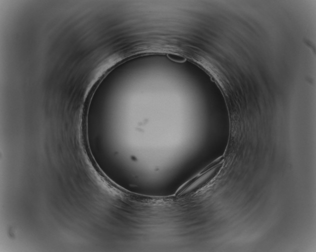 X0000097871139200803281155