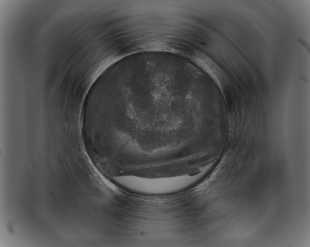 X0000097871141200803281155