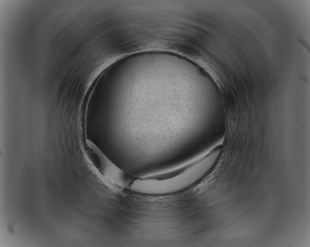 X0000097871142200803281155