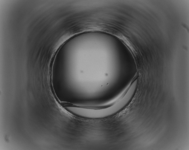 X0000097871143200803281155