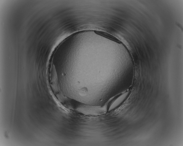 X0000097871144200803281155