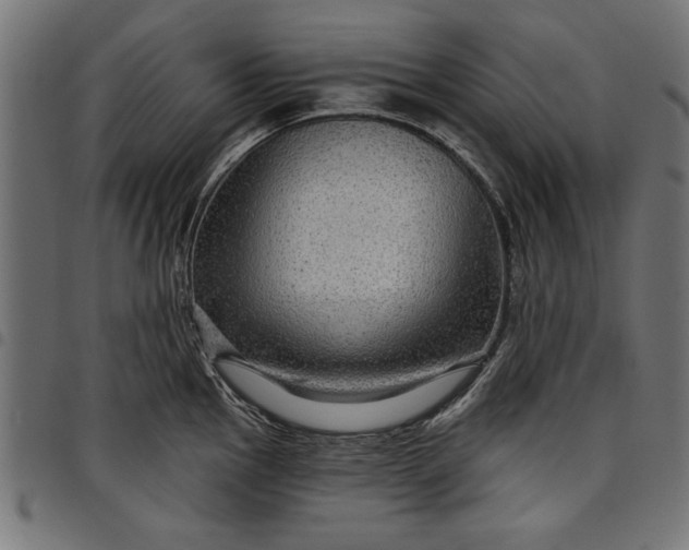 X0000097871145200803281155