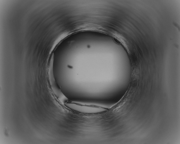 X0000097871146200803281155