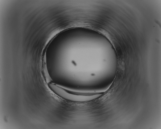 X0000097871147200803281155