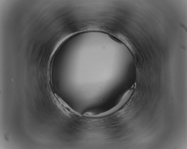 X0000097871148200803281155