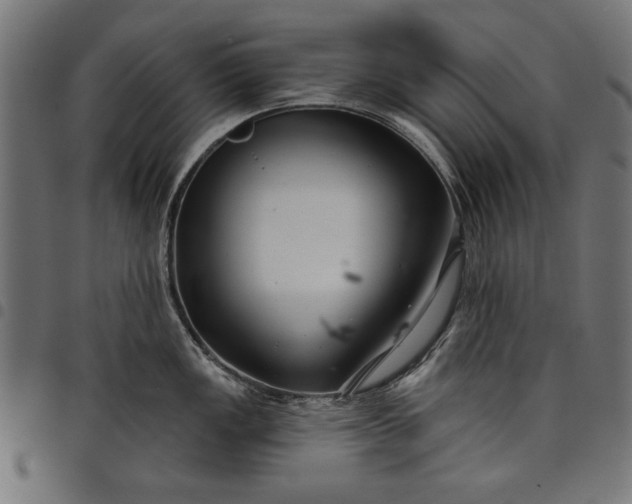 X0000097871149200803281155