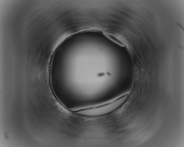X0000097871151200803281155