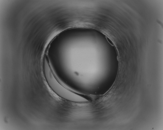 X0000097871152200803281155