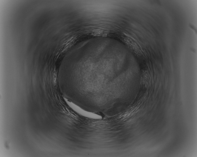 X0000097871154200803281155