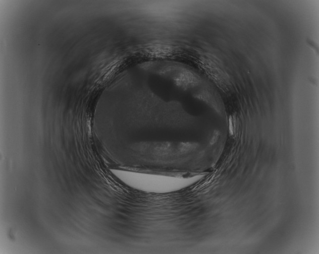 X0000097871155200803281155
