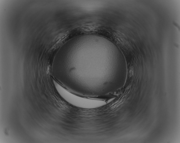 X0000097871156200803281155