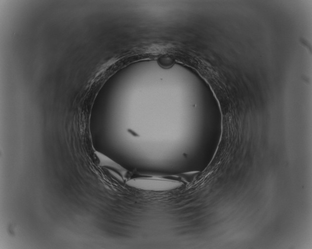 X0000097871158200803281155