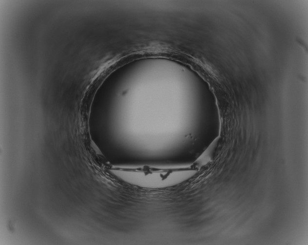 X0000097871160200803281155