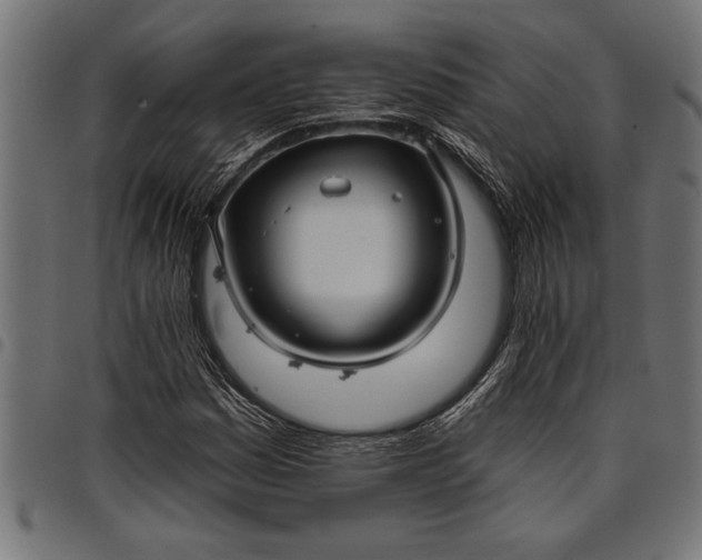 X0000097871161200803281155