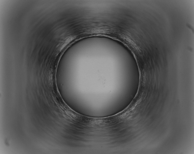 X0000097871162200803281155