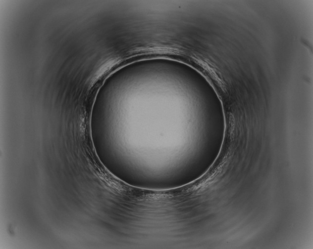 X0000097871163200803281155