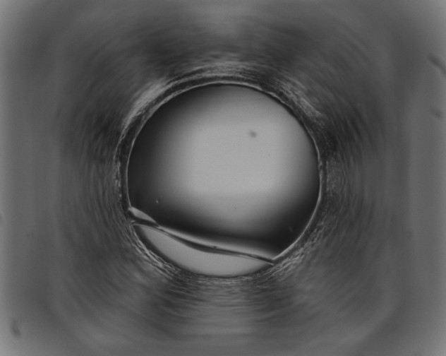 X0000097871164200803281155