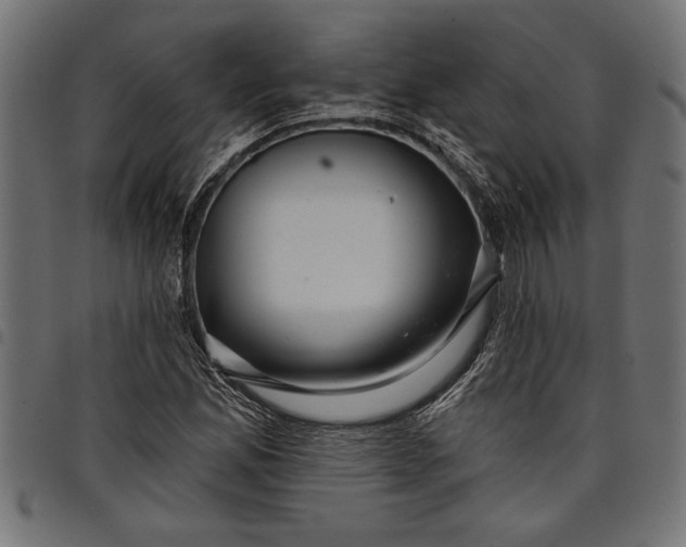 X0000097871165200803281155