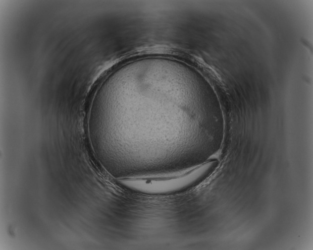 X0000097871166200803281155