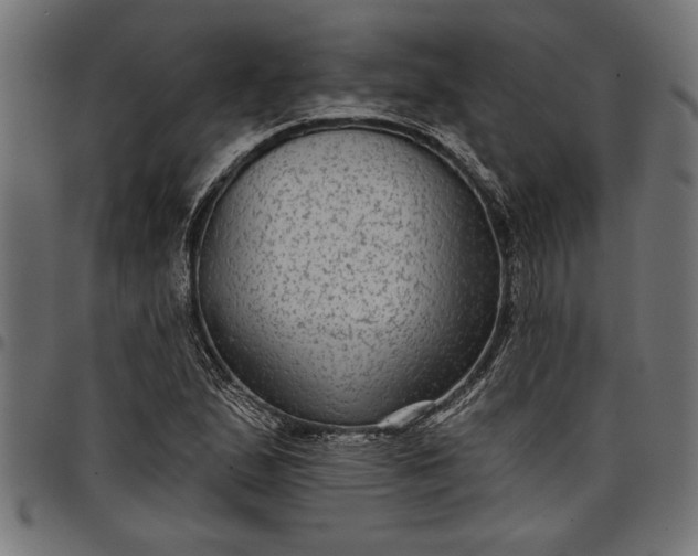 X0000097871167200803281155