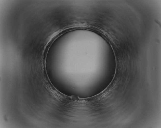 X0000097871168200803281154