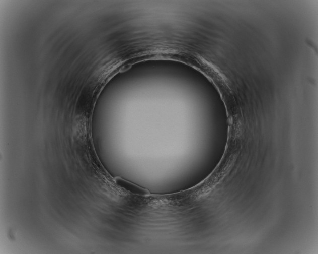 X0000097871169200803281154