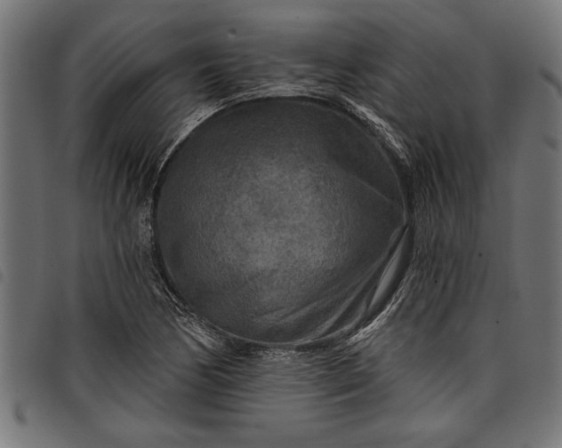 X0000097871170200803281154