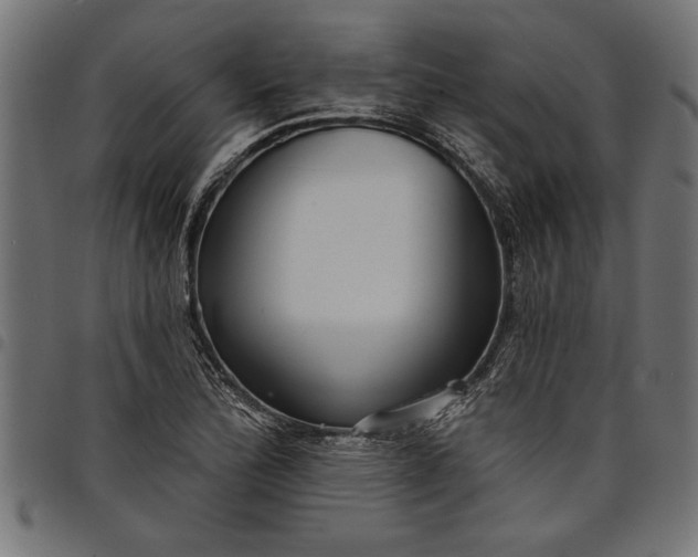 X0000097871172200803281154