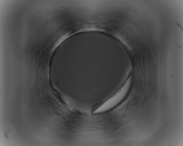 X0000097871173200803281154
