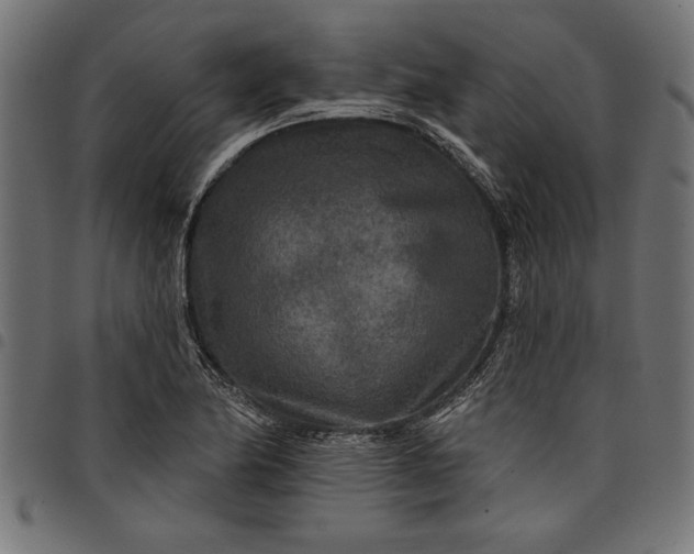 X0000097871174200803281154