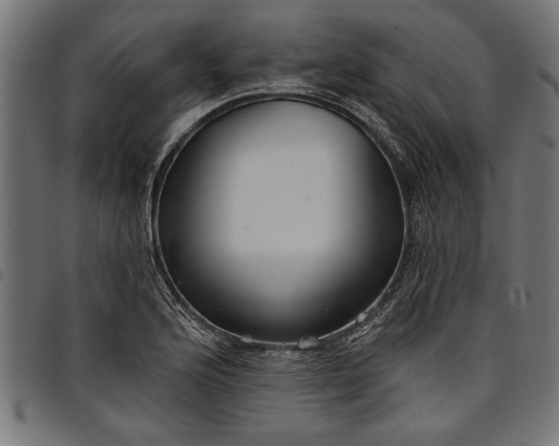 X0000097871176200803281154