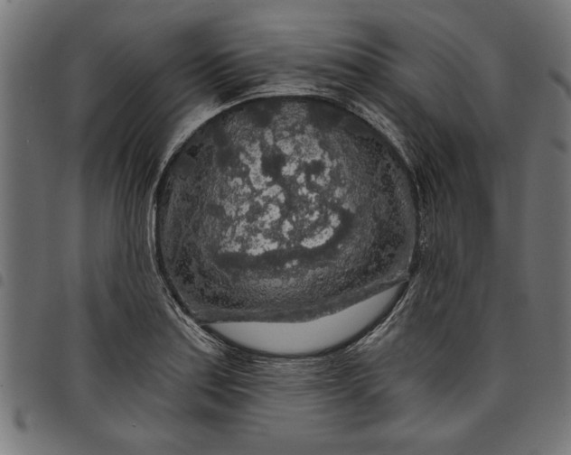 X0000097871179200803281154