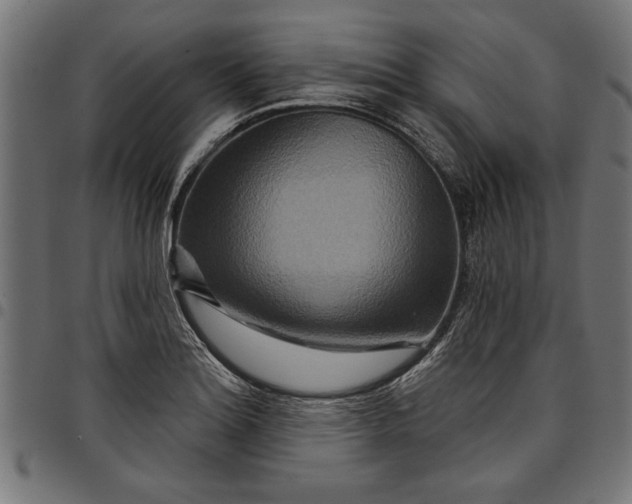 X0000097871180200803281154
