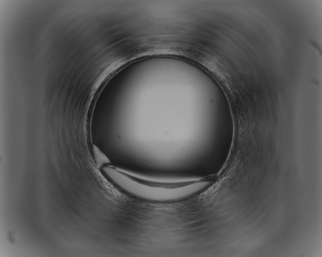 X0000097871181200803281154