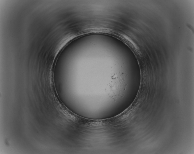 X0000097871182200803281154