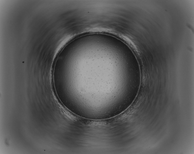 X0000097871183200803281154