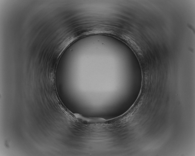 X0000097871185200803281154