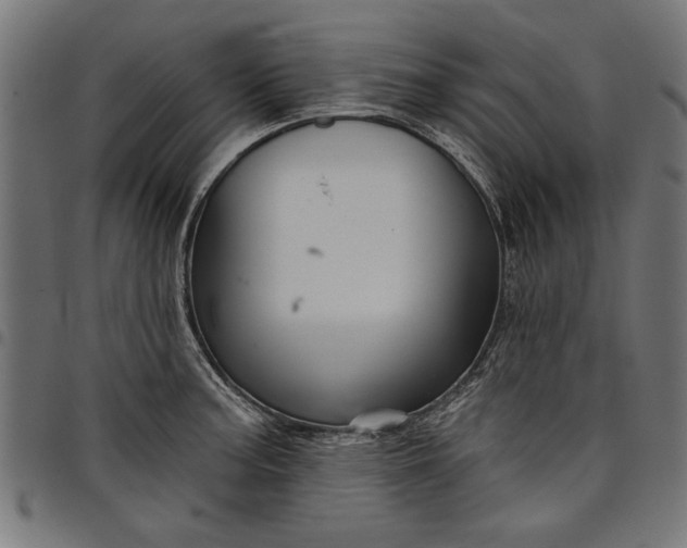 X0000097871187200803281154