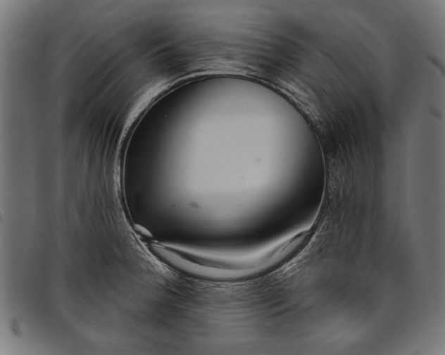 X0000097871188200803281154