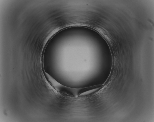 X0000097871189200803281154