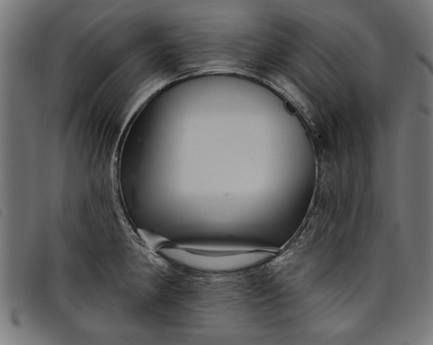X0000097871190200803281154