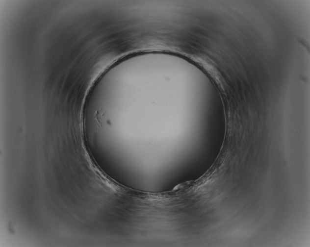 X0000097871191200803281154