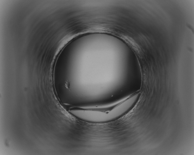 X0000097871192200803281154
