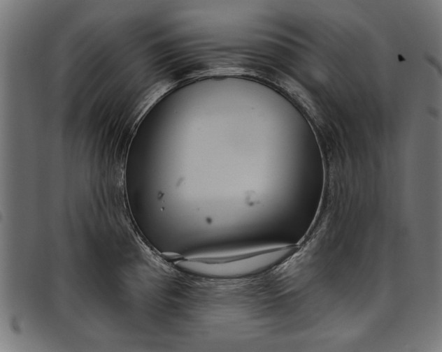 X0000097871193200803281154