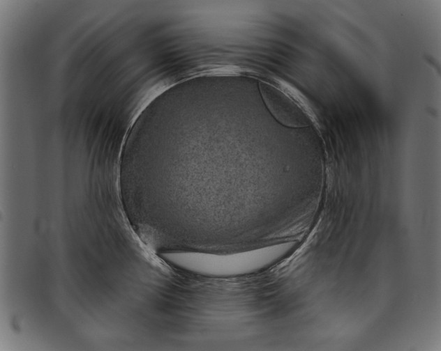 X0000097871194200803281154