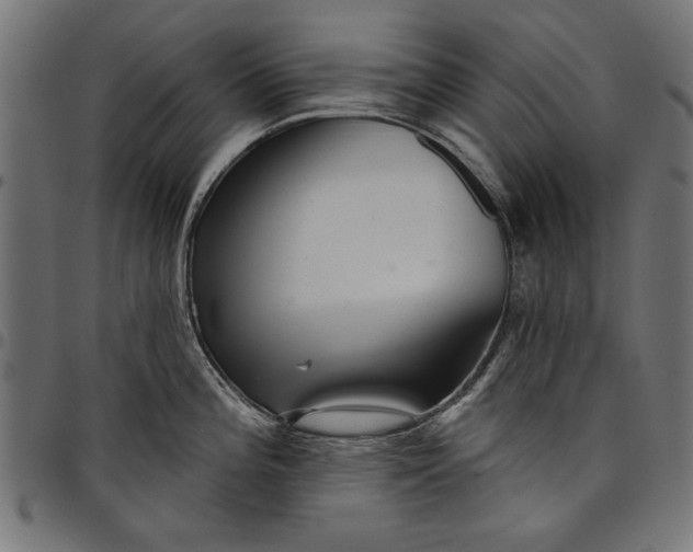 X0000097871196200803281154